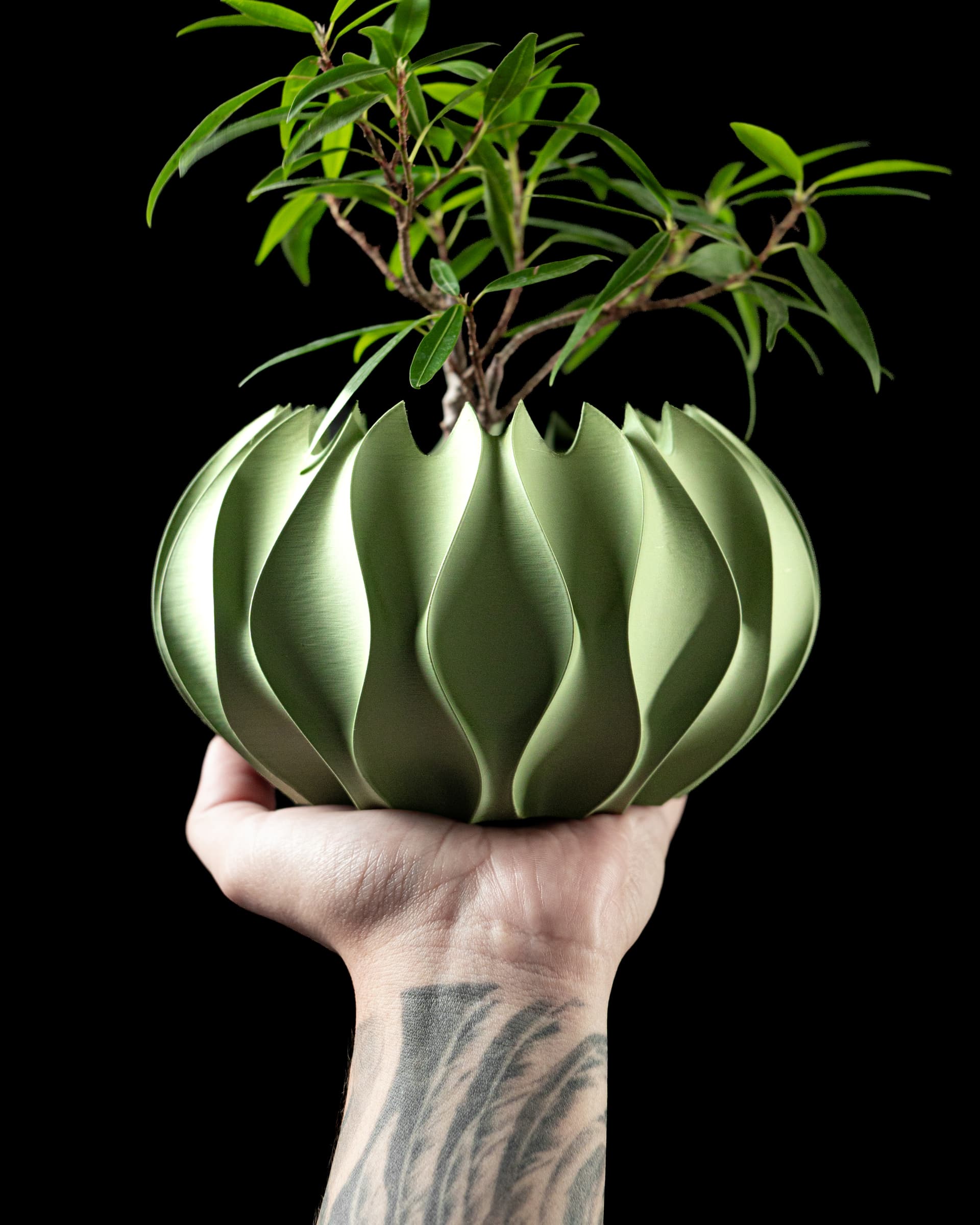 Abyssal Planter Pot salbeigrün in Hand — kugeliger Blumentopf mit geschwungenen Flammenlamellen, kleiner Bonsaibaum