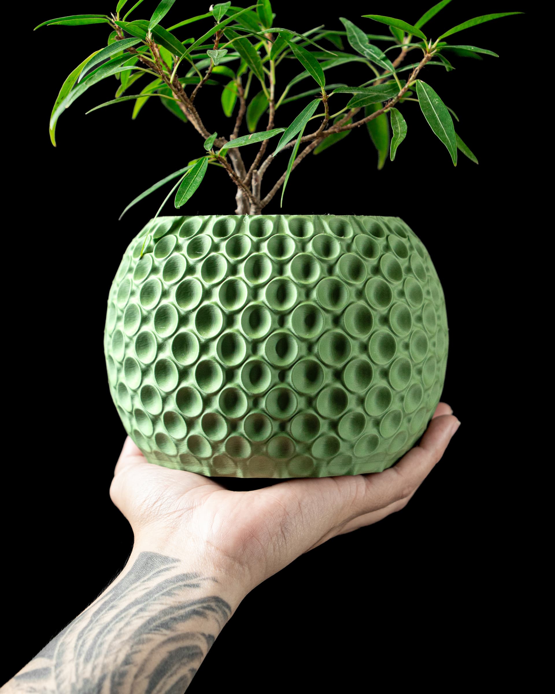 3D-Blumentopf Bubble Planter — gleichmäßige Kreis-Vertiefungen in Olivgrün, runde Form, Hand hält Topf