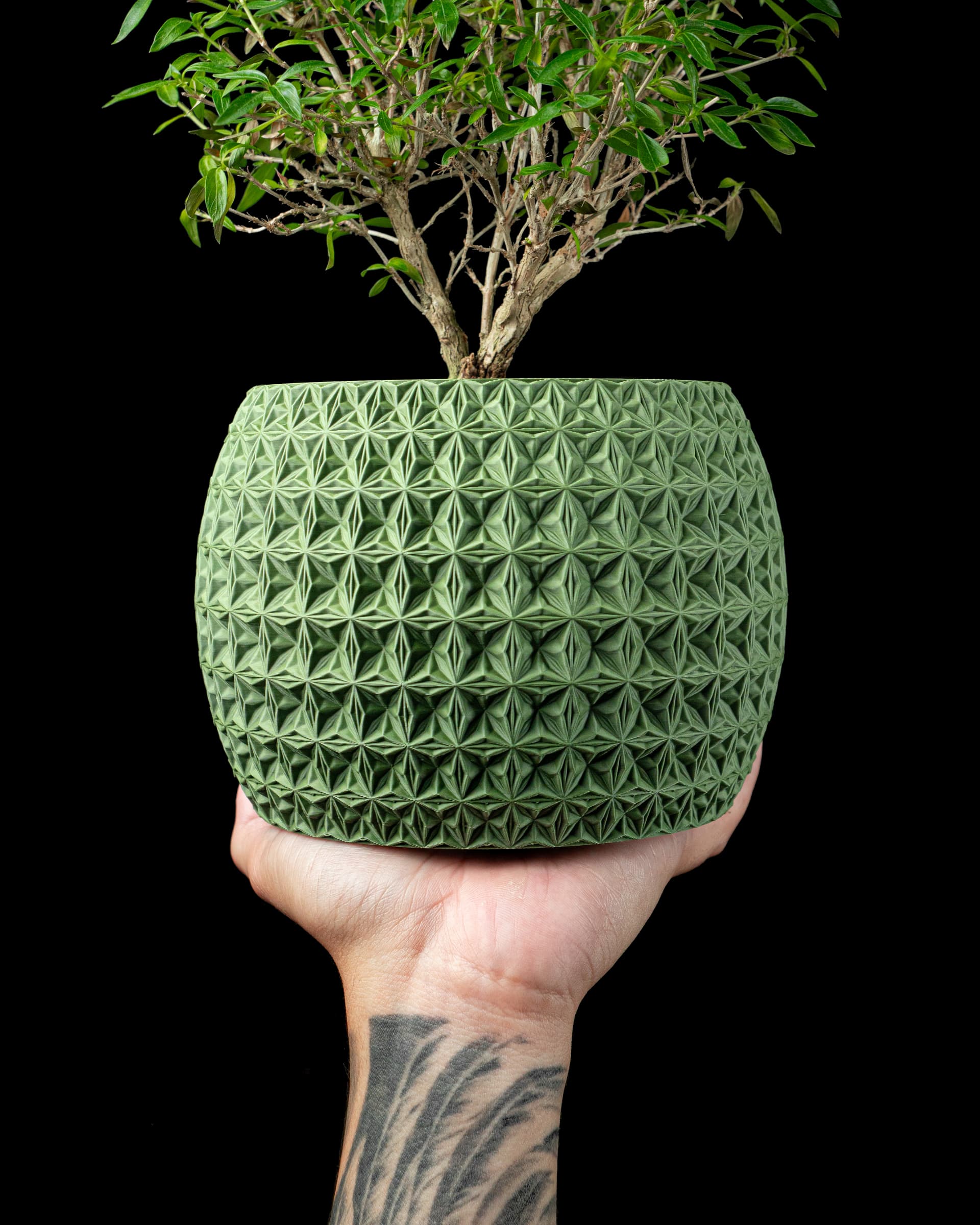 Salbeigrüner Burst Blumentopf in Hand mit Bonsai, bauchiger Körper mit sternchenförmigem Allover-Reliefmuster