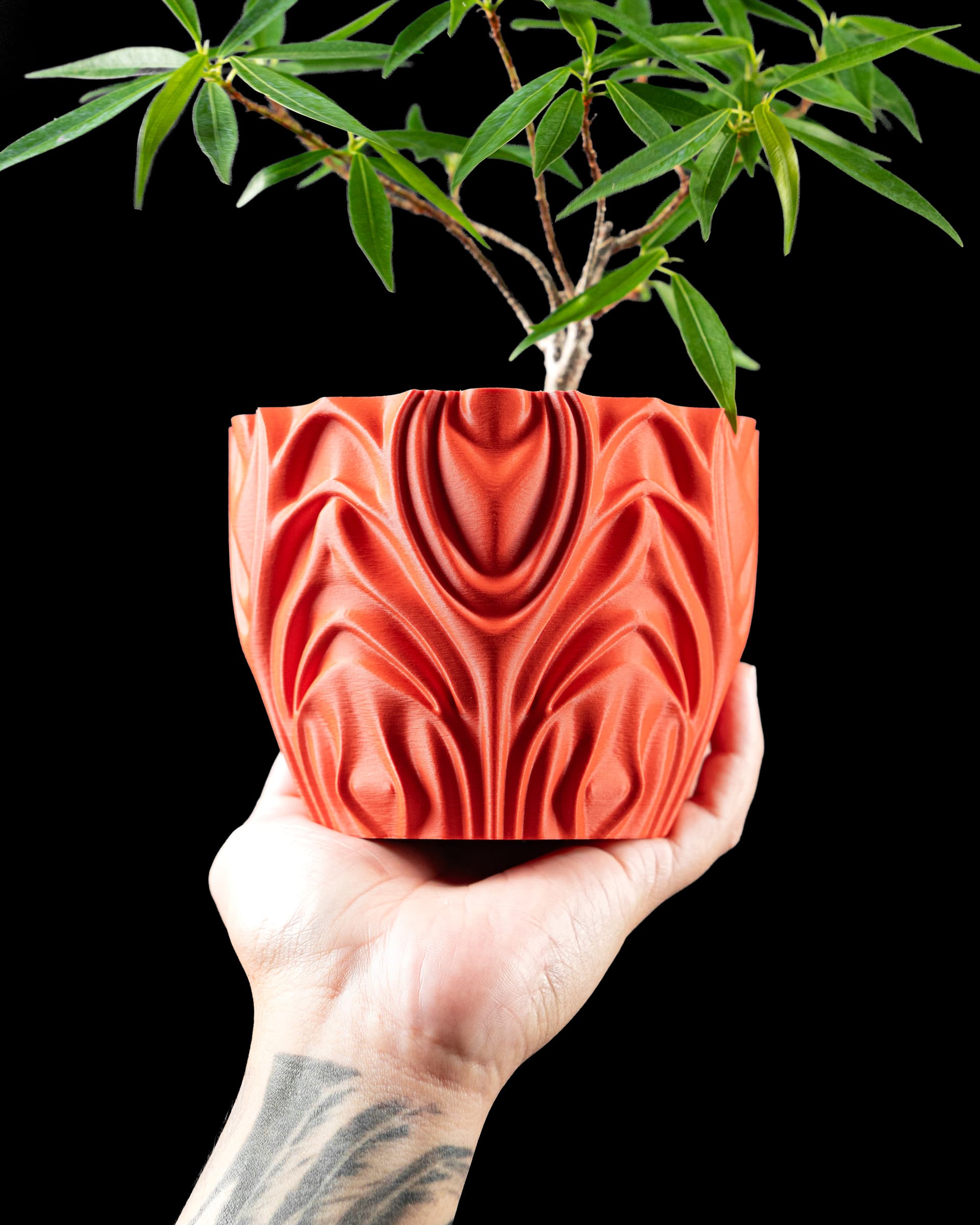3D-Blumentopf Corru Planter — wellenförmige Draperie-Rillen in Korallrot, Hand hält Topf mit Pflanze