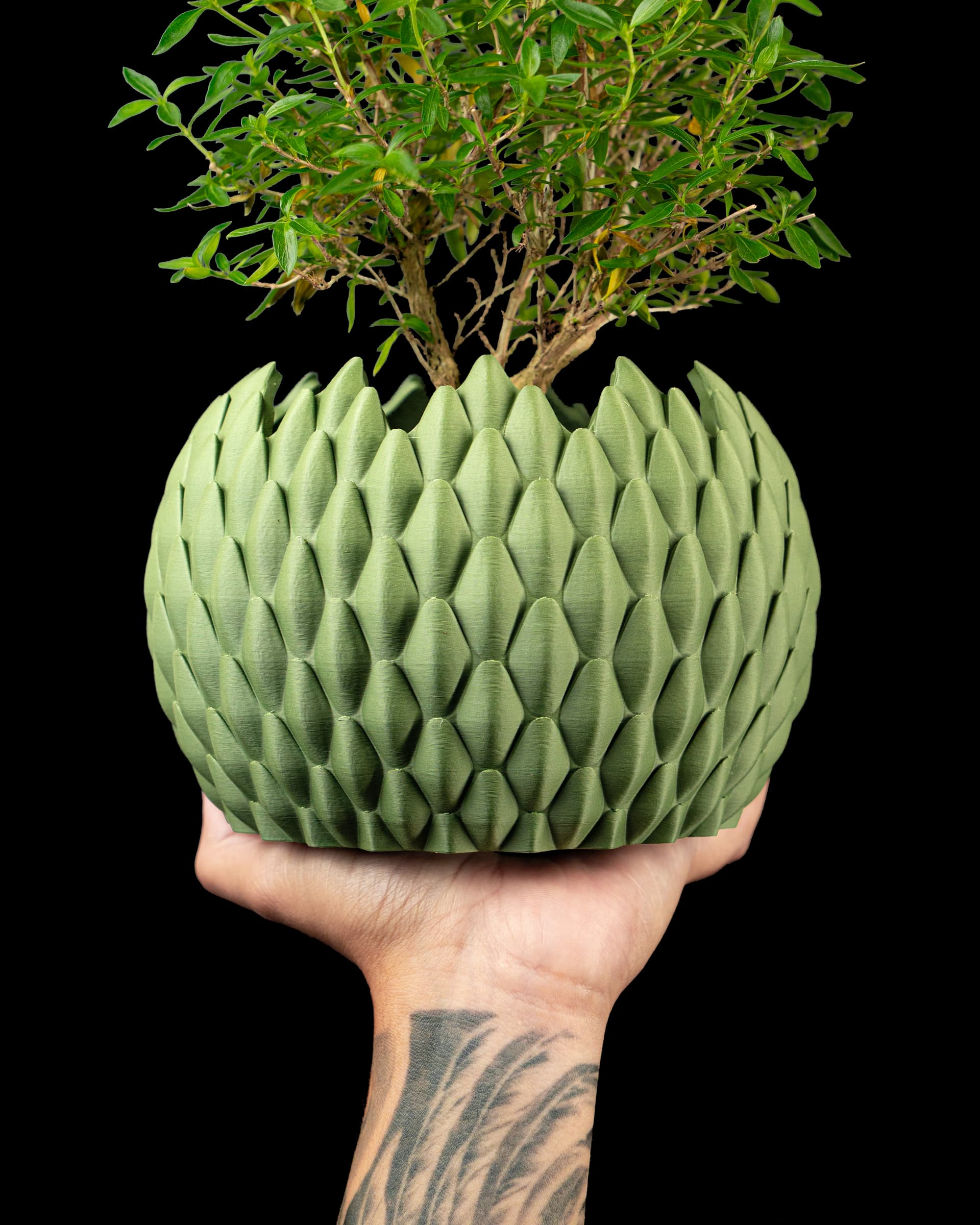 Hellgrüner Dragonscale Blumentopf v2 in Hand mit Bonsai, kugeliger Körper mit spitzen Drachenschuppen