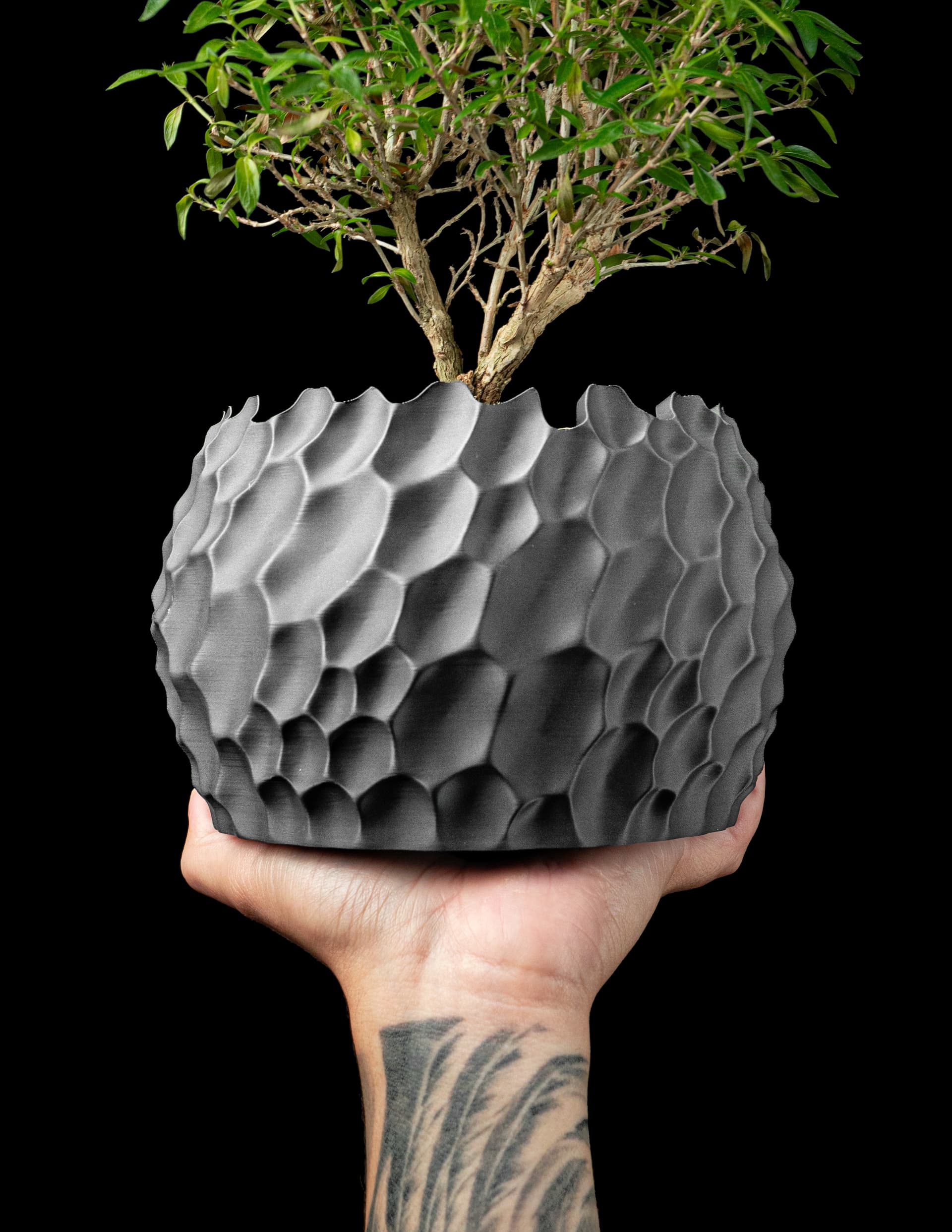 Dune Planter — dunkelgrauer 3D-Druck-Schalen-Topf mit groben Waben-Reliefs, kahler Bonsai-Ast, schwarzer Hintergrund