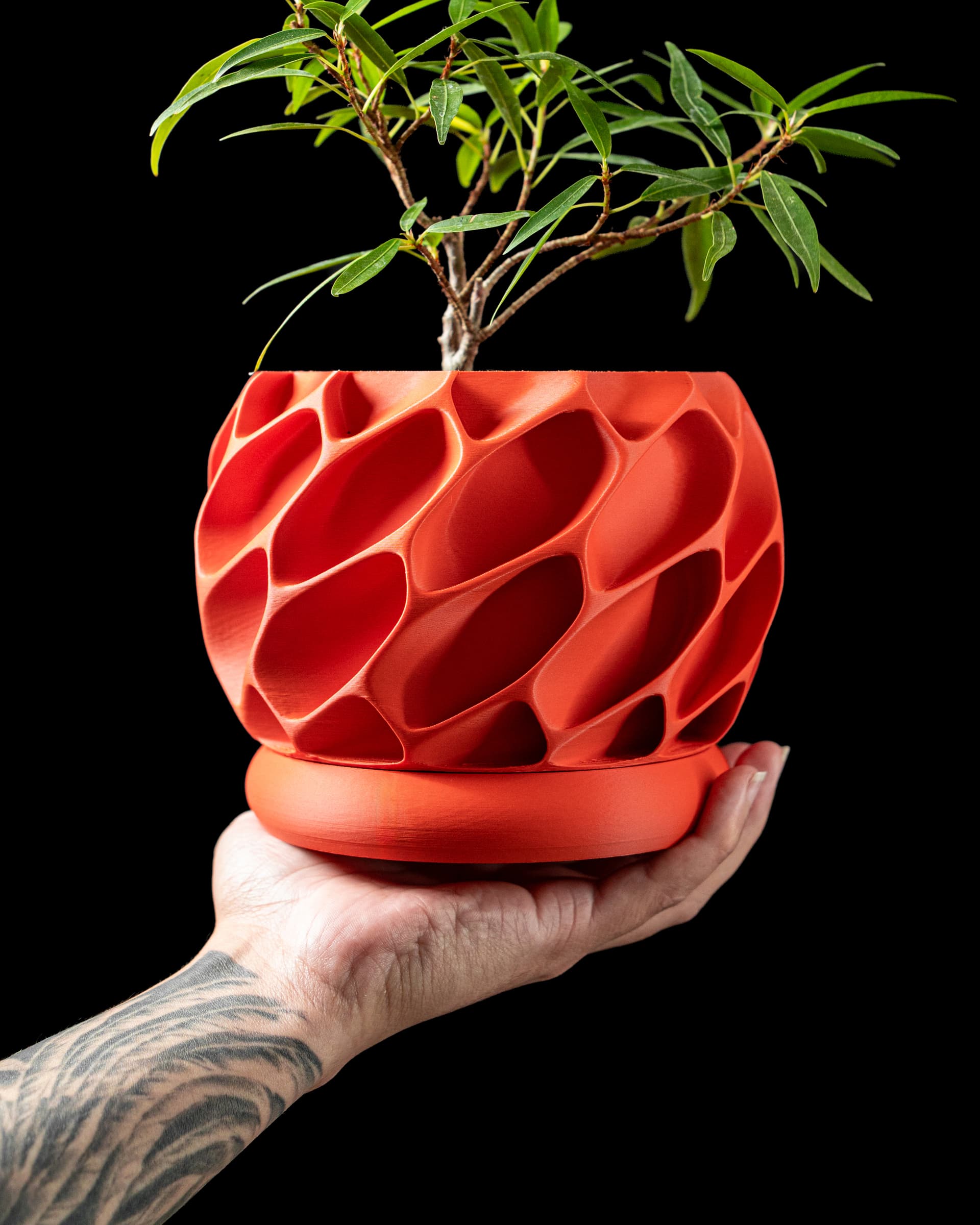 Exo Planter — leuchtend roter 3D-Druck-Übertopf mit organischen Zellwaben-Öffnungen und Untersetzer, kleiner Bonsai