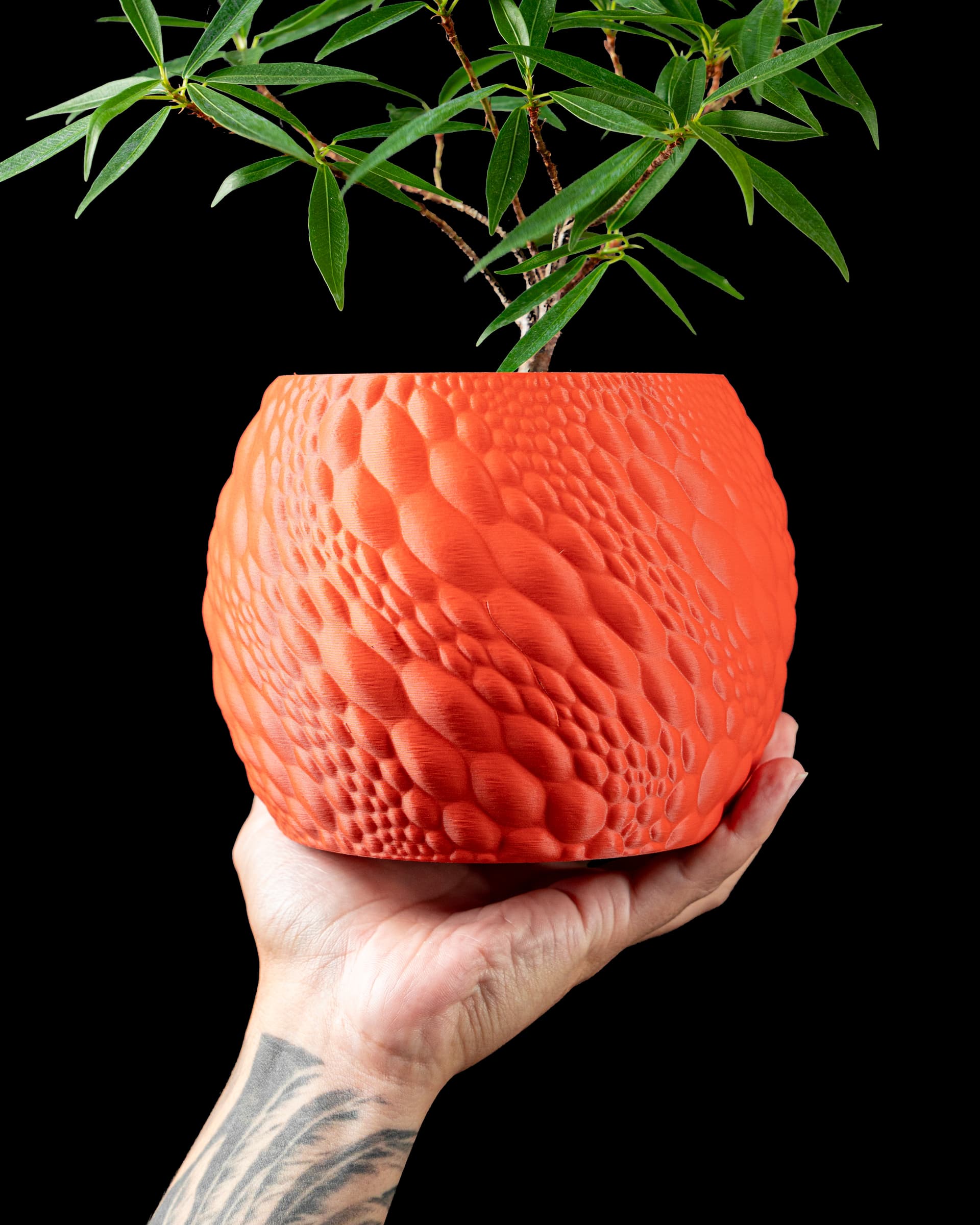 Gato Planter — leuchtend orangeroter 3D-Druck-Übertopf mit Schuppentextur, in einer Hand, Olivenzweig, schwarzer Hintergrund