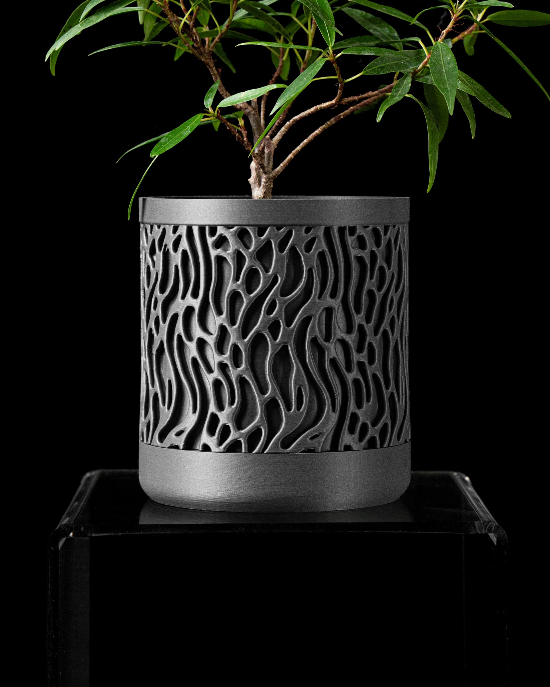 3D-Wand-Blumentopf Grove — zylindrischer Topf mit organischem Voronoi-Durchbruchmuster in Anthrazit