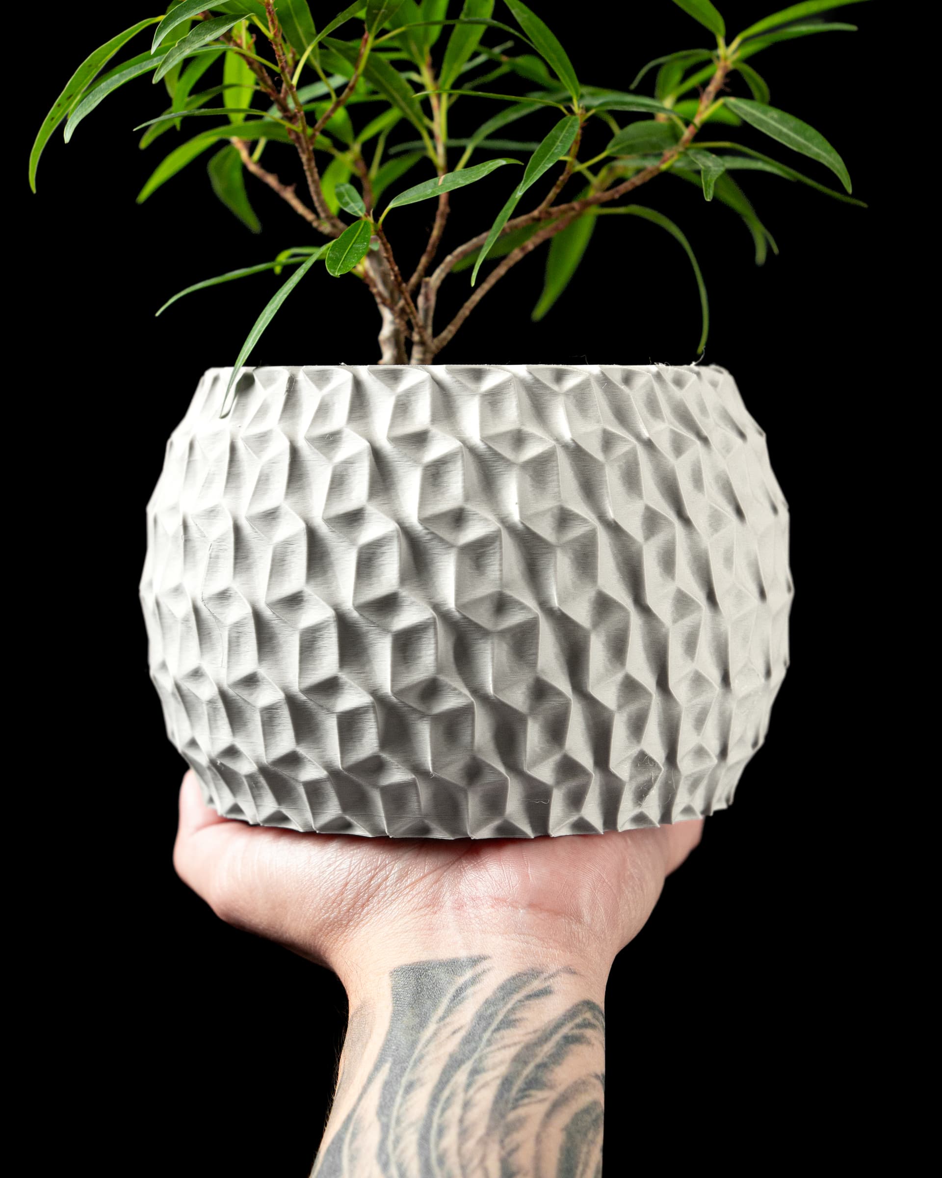 3D-Blumentopf Hexa Planter — flach-gedrungene Form mit Hexagon-Facetten in Weiß, Hand hält Topf