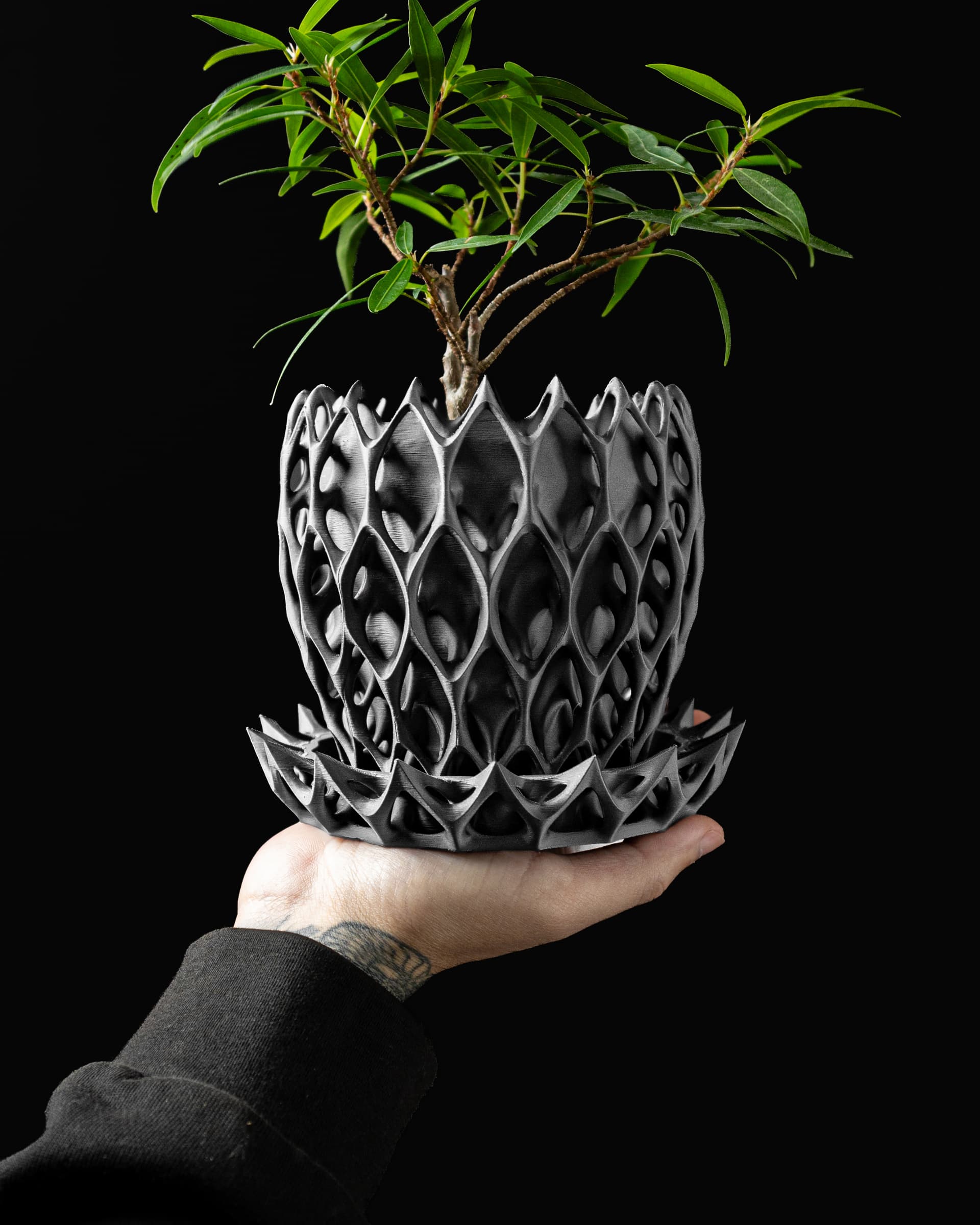 Schwarzer Invader Blumentopf in Hand mit Bonsai, organisch-durchbrochenes Schuppengitter mit gezacktem Rand