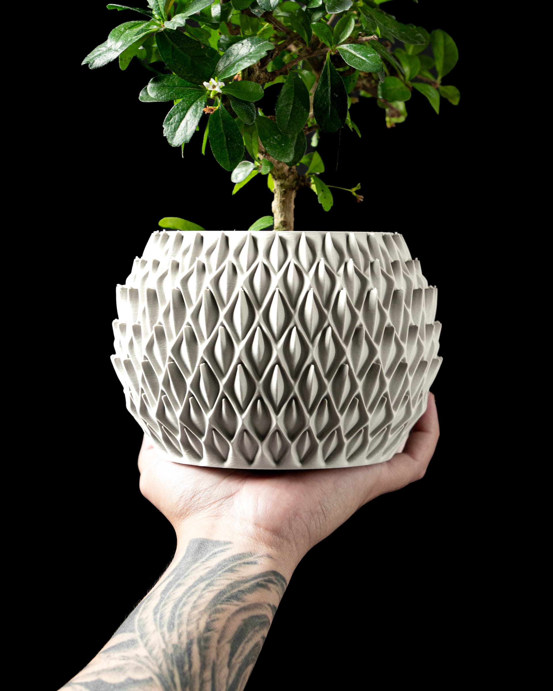 3D-Blumentopf Petal Planter — spitz-ovale Blütenblatt-Prägungen in Hellgrau, kugeliger Topf, Hand hält