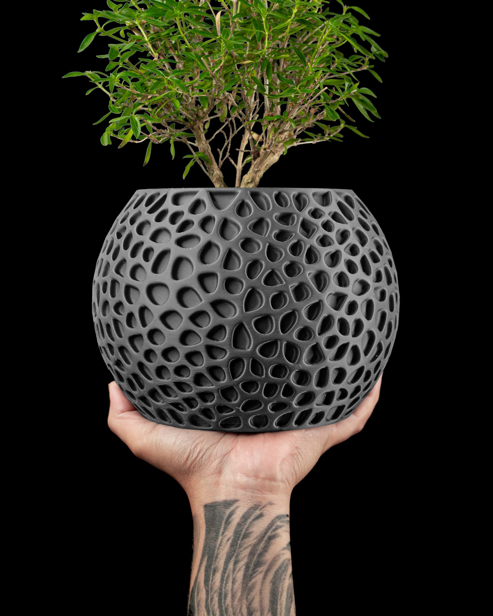 Pulp Planter Pot anthrazit in Hand — kugelrunder Übertopf mit engem Voronoi-Netz, kleiner Bonsai, tätowiertes Handgelenk