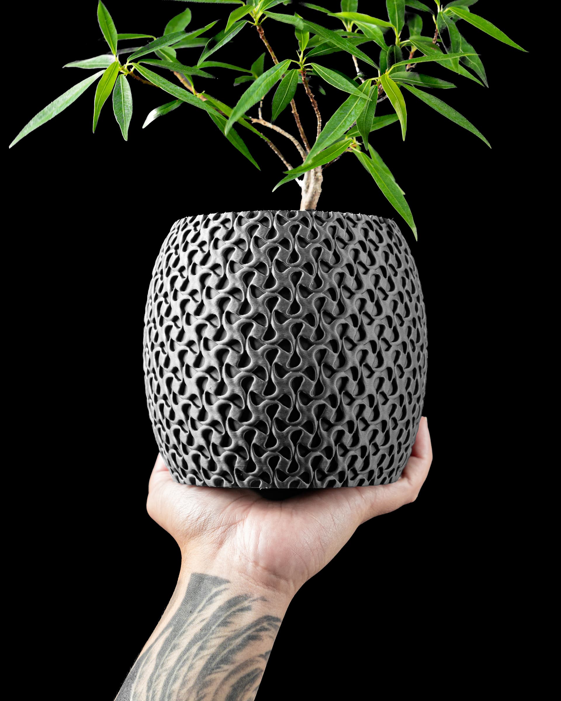 3D-Blumentopf Ringa Planter — organisches Voronoi-Netz in Anthrazit, bauchige Form, Hand hält Topf mit Pflanze
