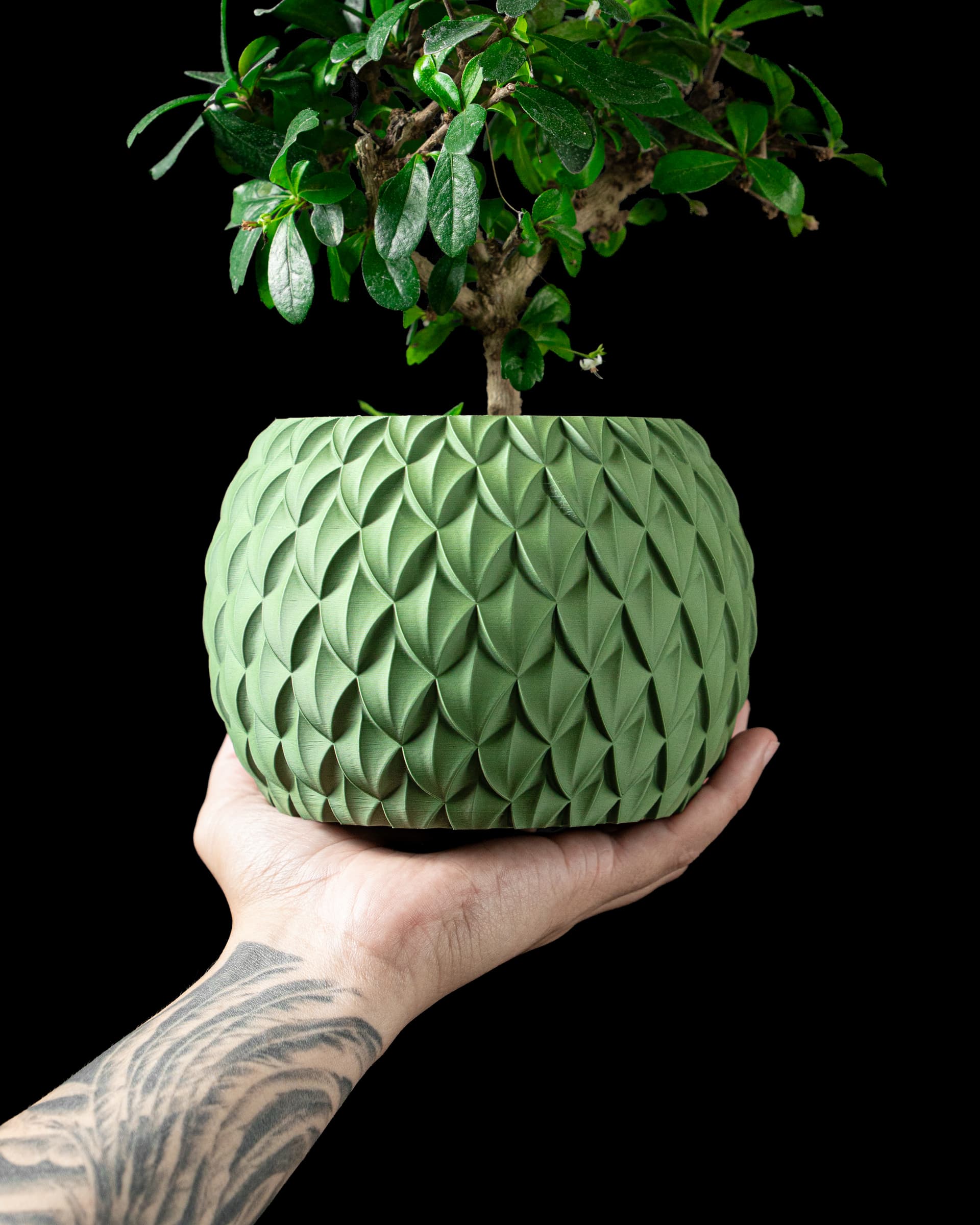 3D-Blumentopf Scale Planter — schuppenartige Blatt-Prägungen in Olivgrün, gedrungene Form, Hand hält