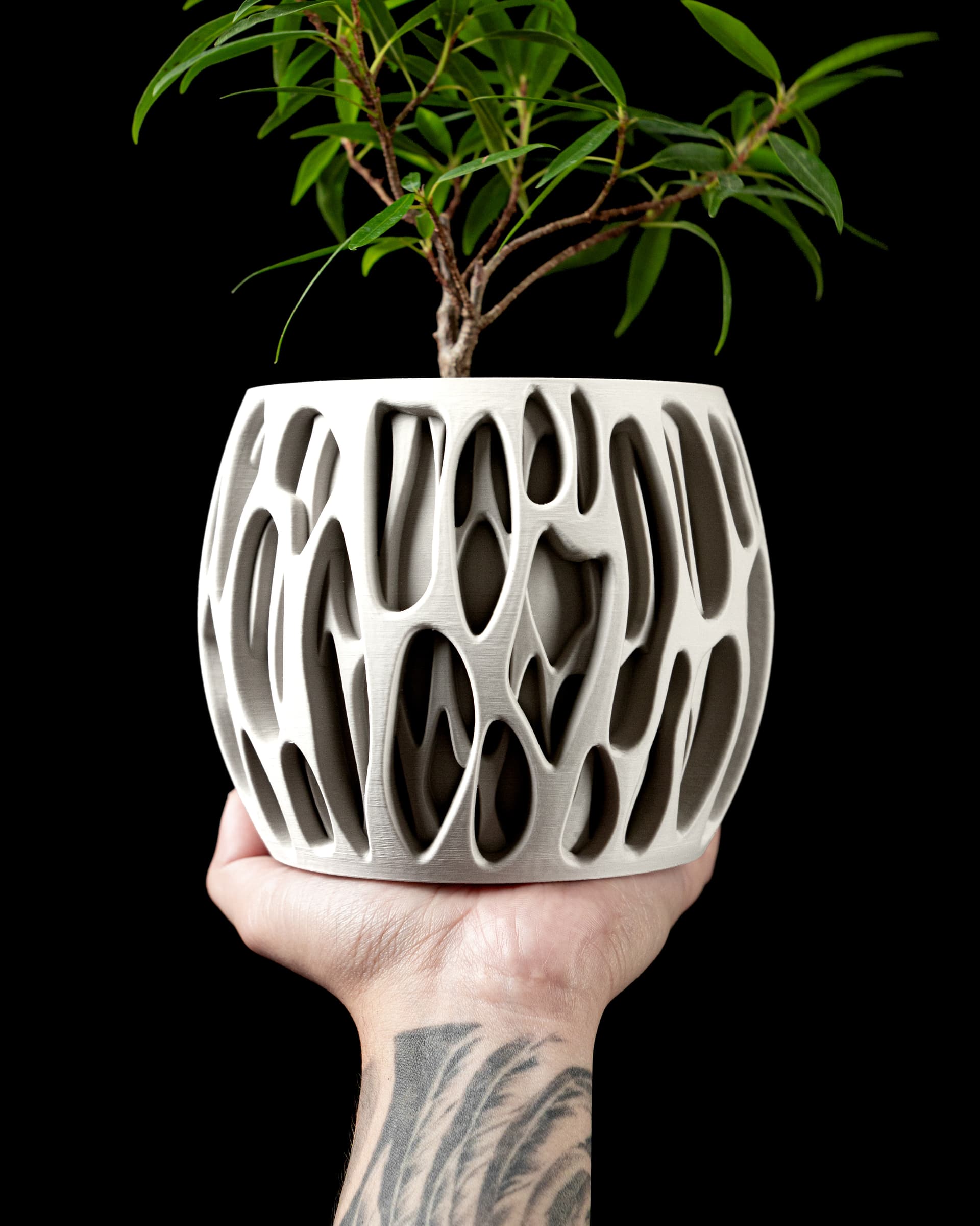 Slime Planter Pot weiß in Hand — zylindrischer Übertopf mit organischen Schlitzöffnungen, kleiner Bonsai oben