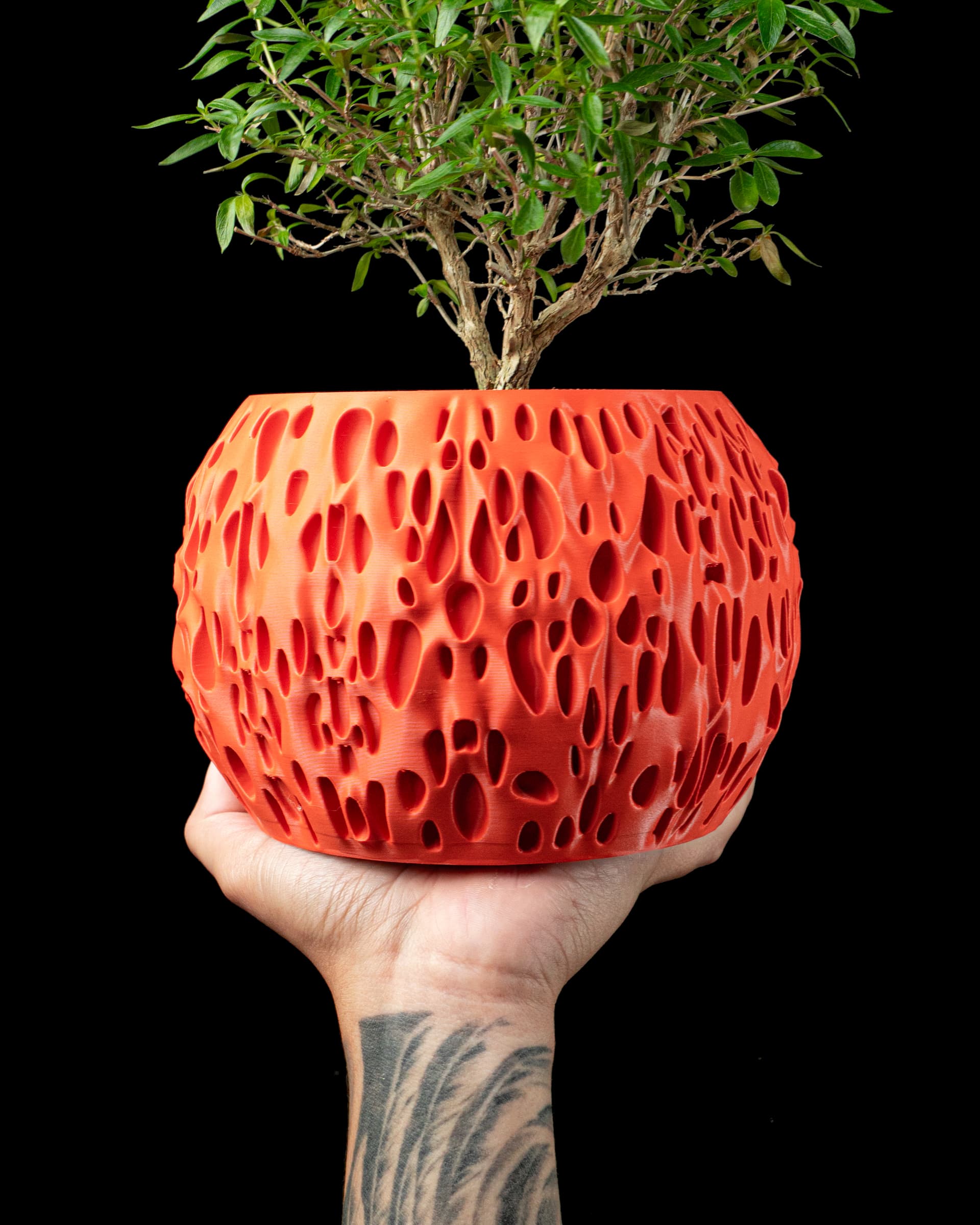 Roter Spotted Blumentopf in Hand mit Bonsai, kugeliger Körper mit organischen Tropfen-Durchbrüchen