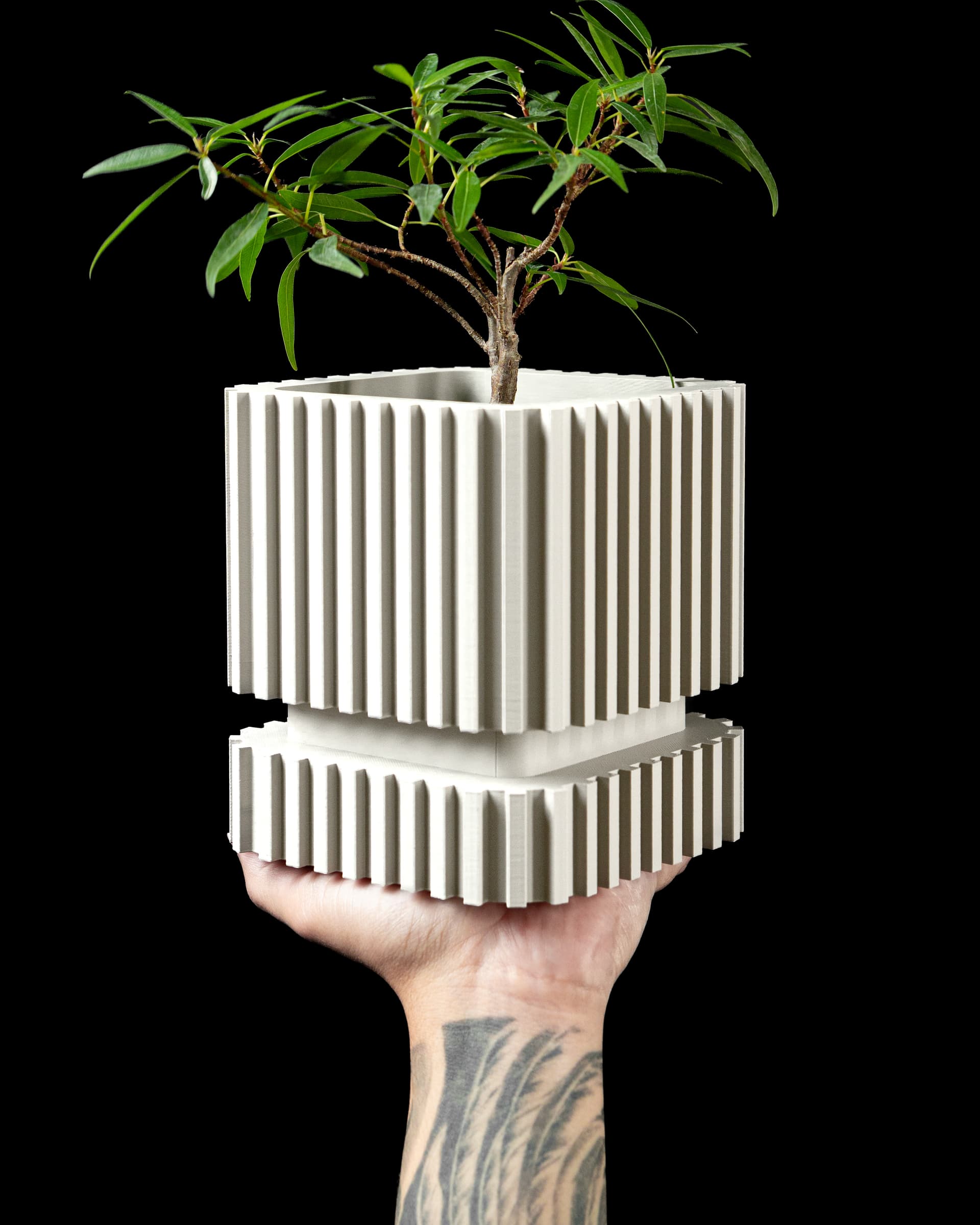 Stripes Planter Pot weiß in Hand — quadratischer Topf mit dichten vertikalen Rippen, Bonsai, passendem Untersetzer