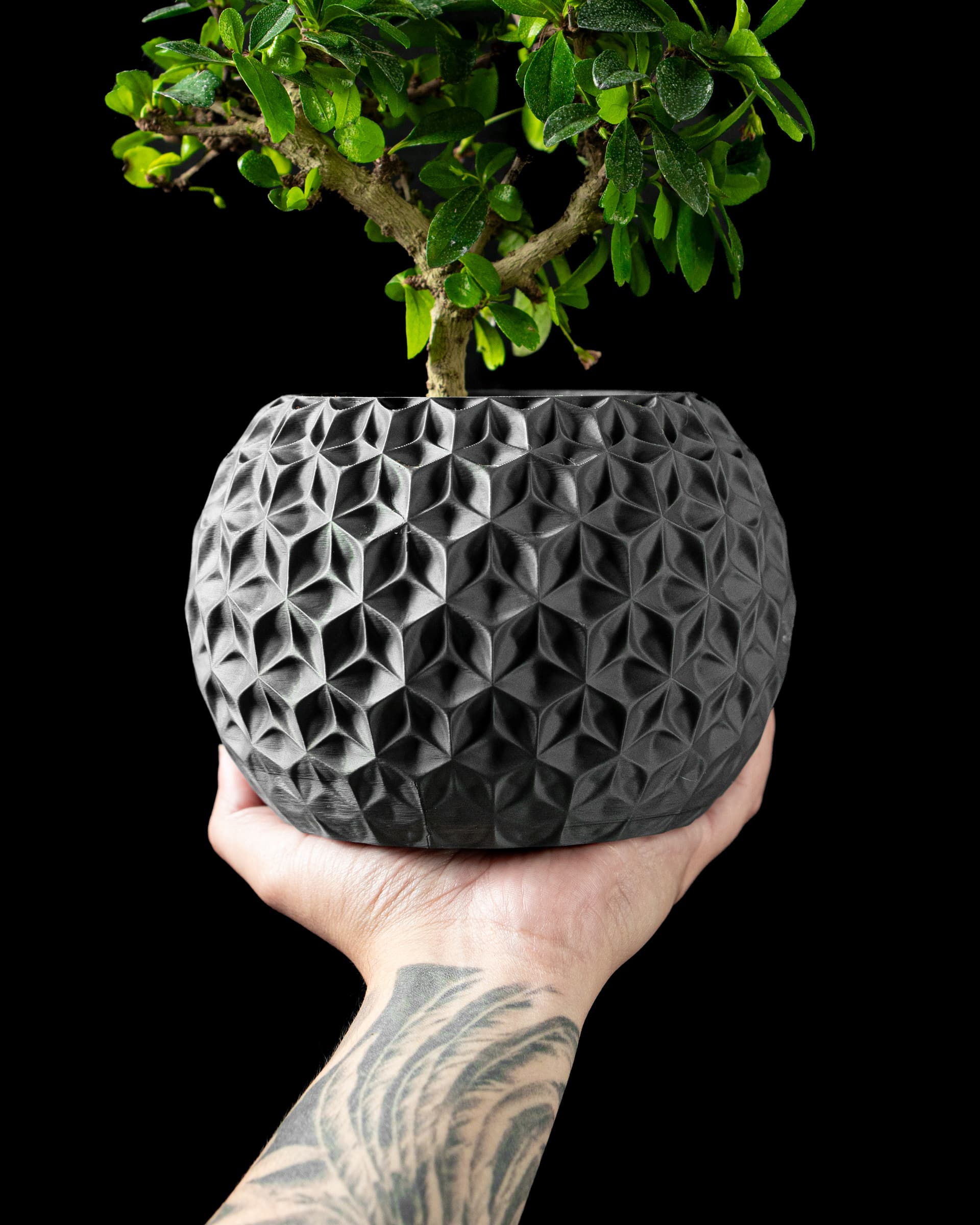 3D-Blumentopf Trihex Planter — Dreieck-Hexagon-Kombimuster in Schwarz, kugeliger Topf, Hand hält