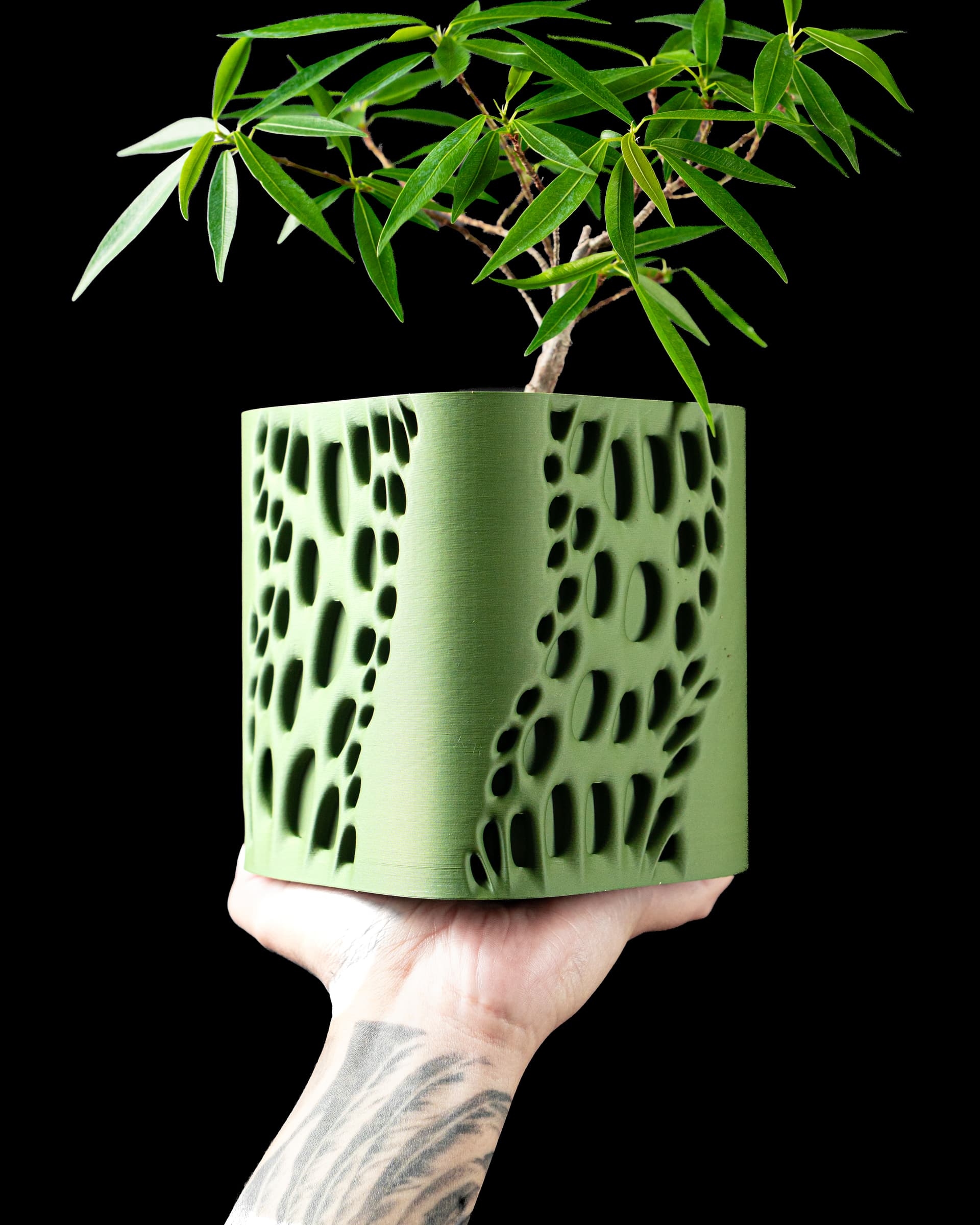 3D-Blumentopf Vapor Planter — rechteckige Form mit ovalen Durchbrüchen in Olivgrün, Hand hält mit Pflanze