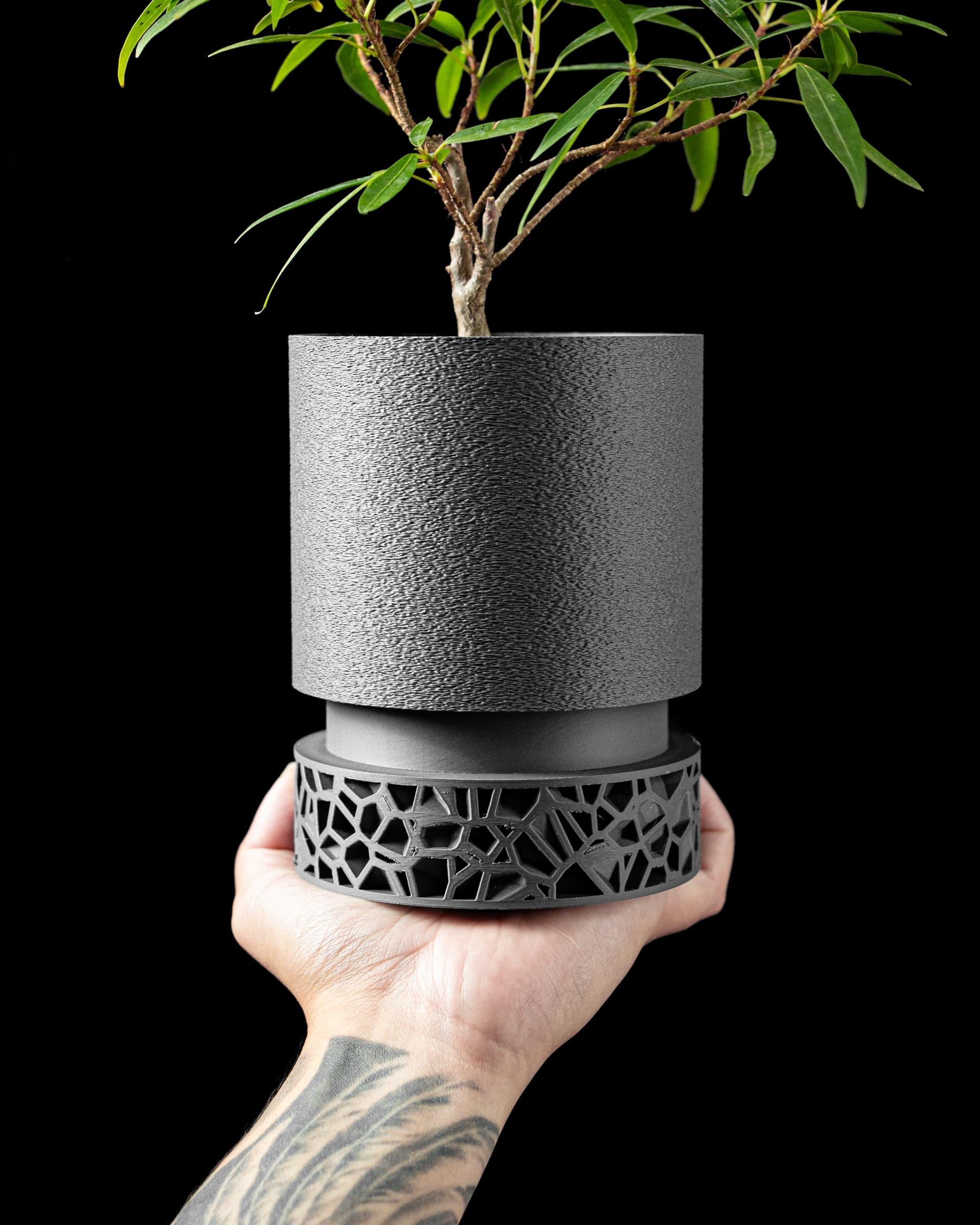 3D-Blumentopf Vori Planter V2 — zylindrischer Topf mit Voronoi-Sockelring in Anthrazit, Hand hält