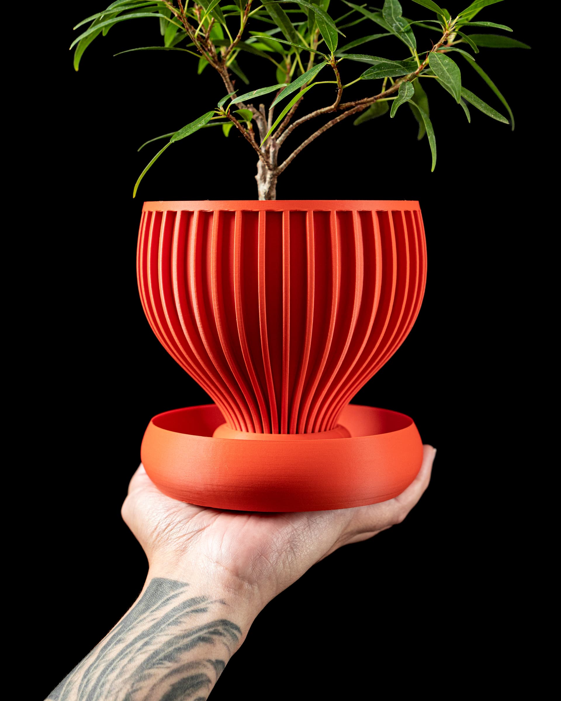 3D-Blumentopf Yin Planter — kelchförmige Trompetenform mit vertikalen Rippen in Rot-Orange, Hand hält