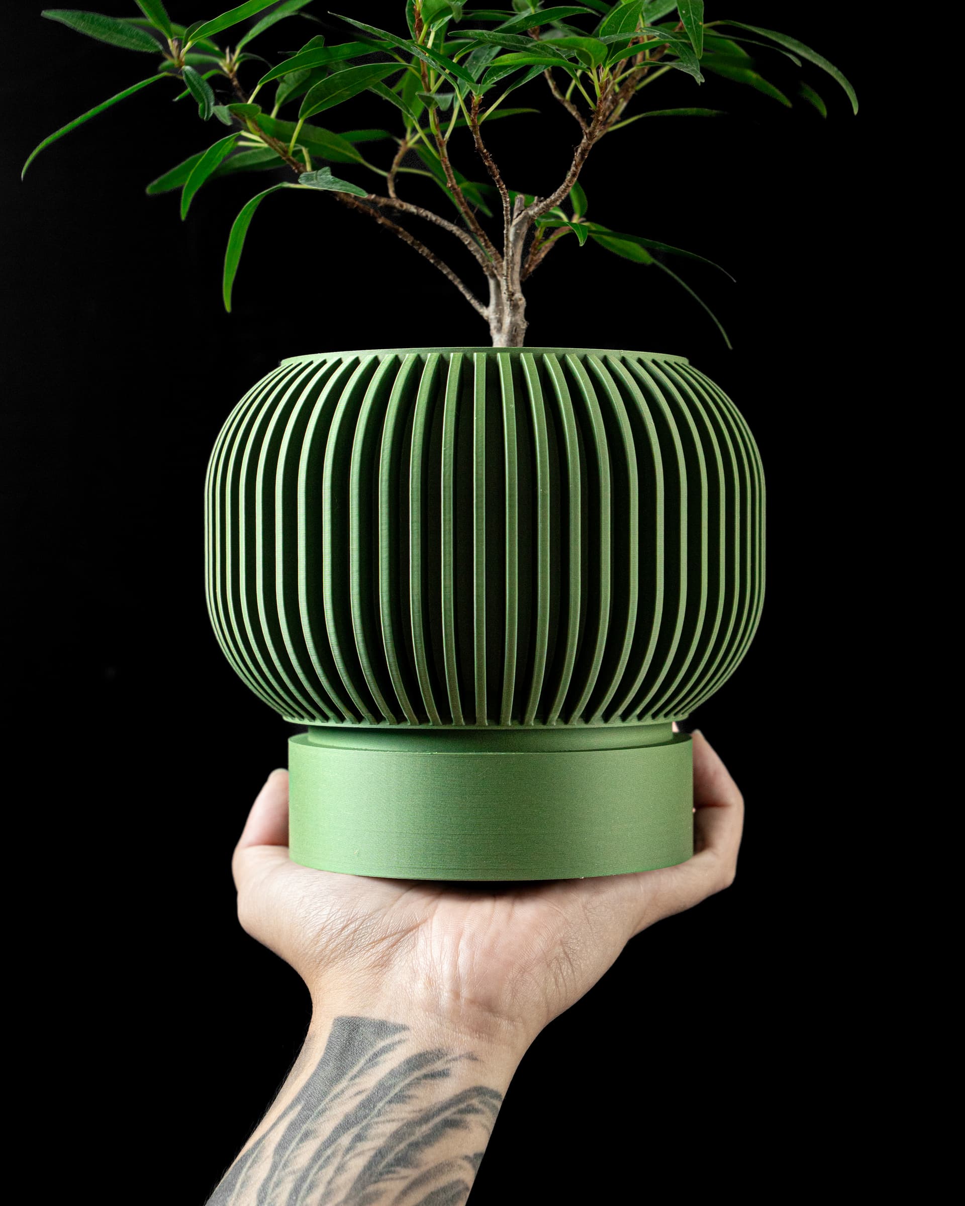 Mintgrüner Yuso Blumentopf v2 in Hand mit Bonsai, kugeliger Körper mit dichten Vertikallamellen und Untersetzer